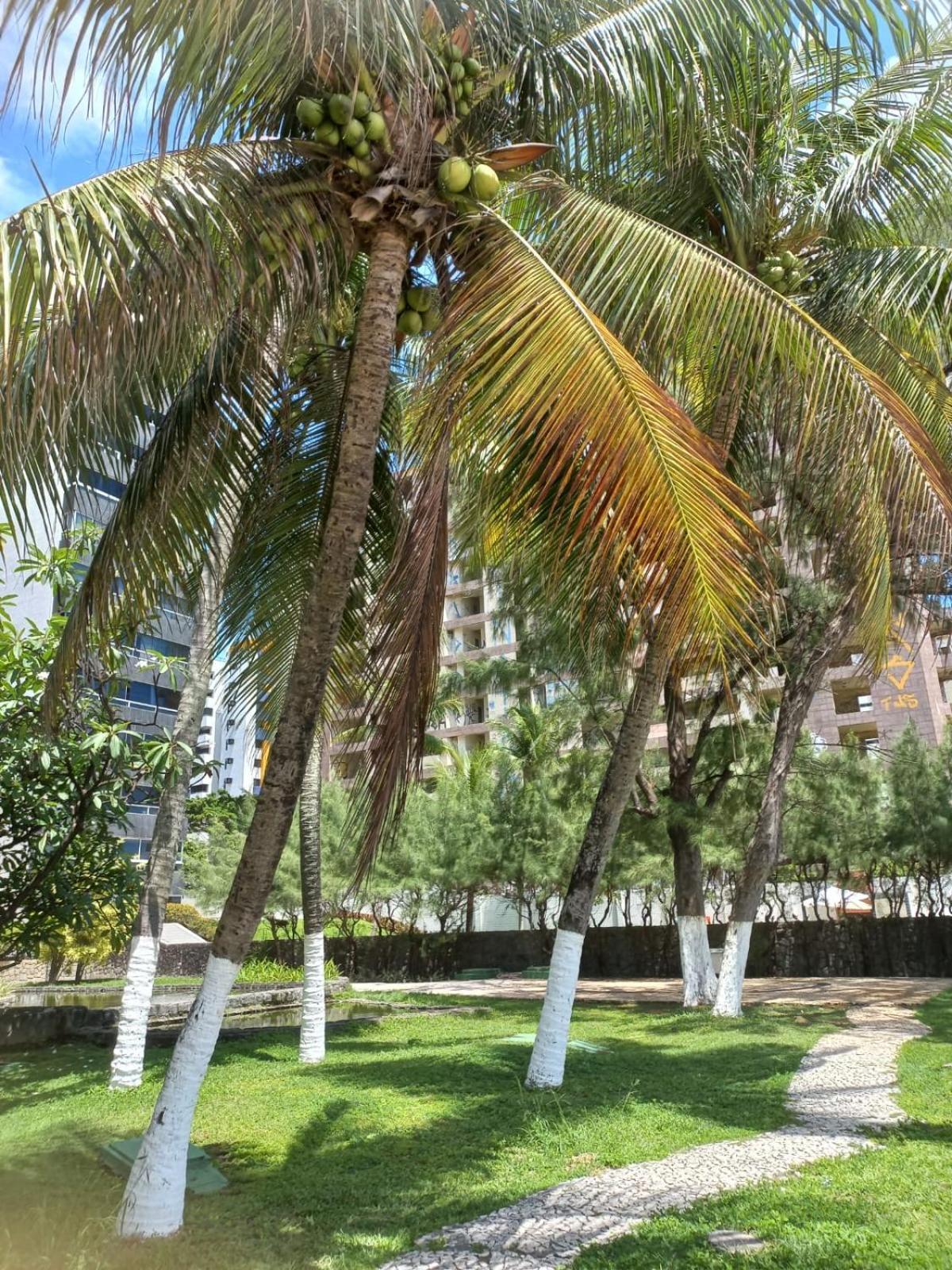 Golden Beach Flat Na Praia Piedade Jaboatão dos Guararapes Exterior photo